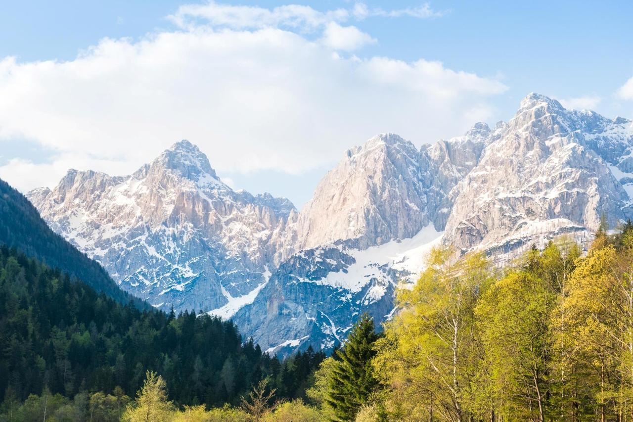 Villa Planina Kranjska Gora Εξωτερικό φωτογραφία