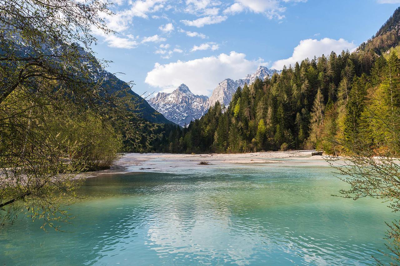 Villa Planina Kranjska Gora Εξωτερικό φωτογραφία